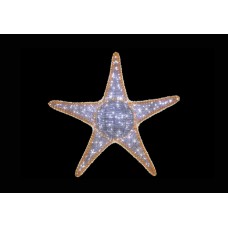 Stea Cosmica, EB30021